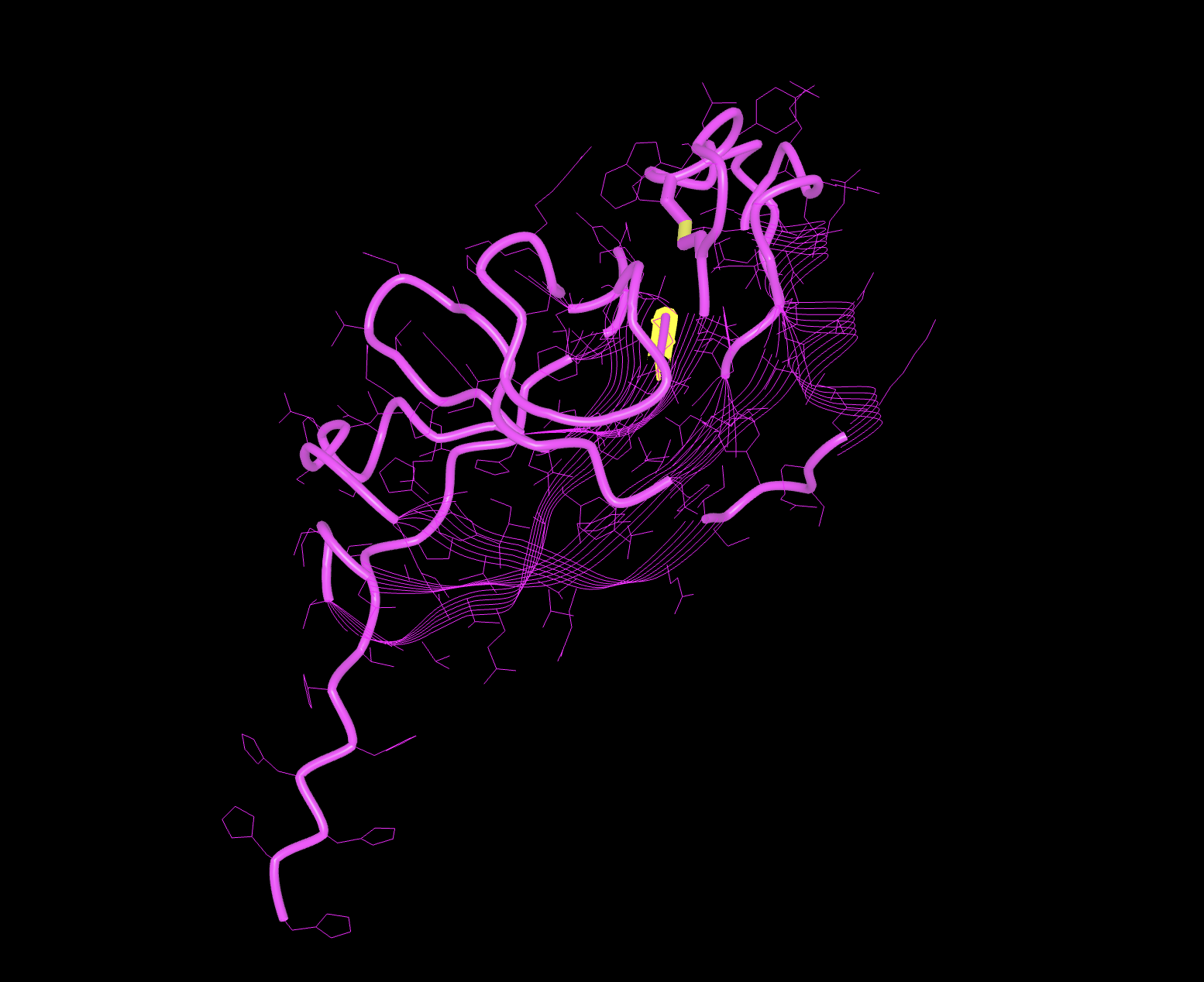 Expected Output1