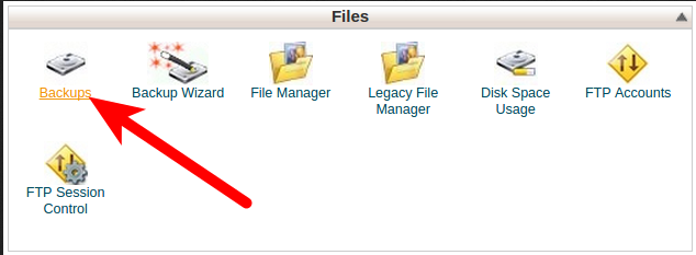 cPanel Backups