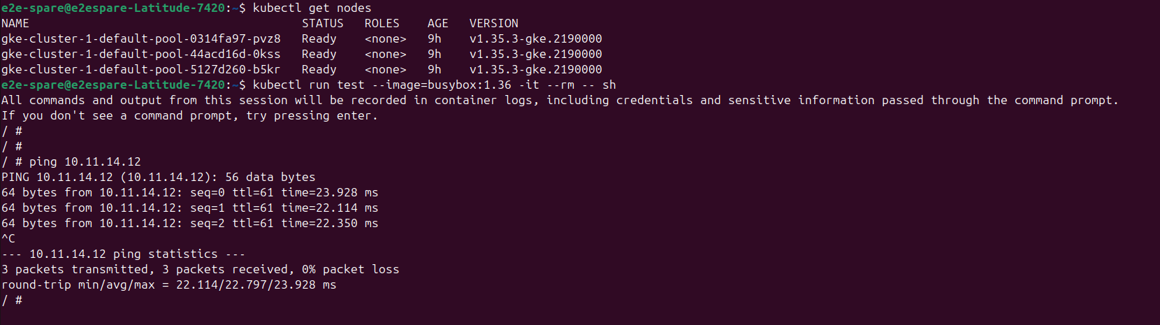 GKE Pod connectivity test — ping successful