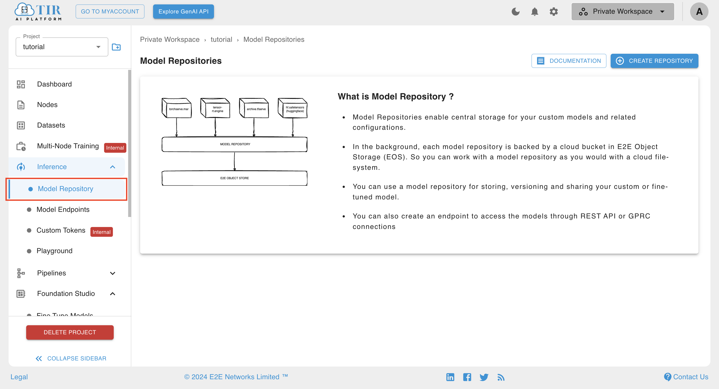 ../../_images/3.1_model_repo_home.png