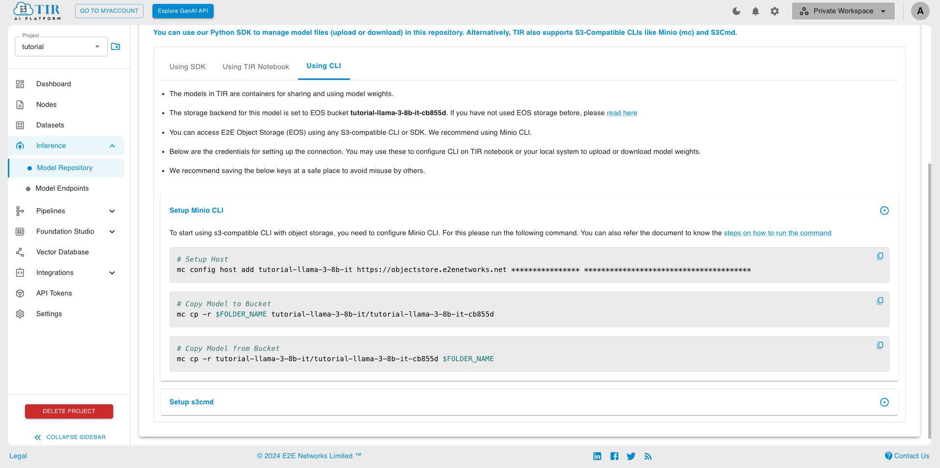 ../../_images/inference-llama-3-8b-it-model-repo-setup-cli.png